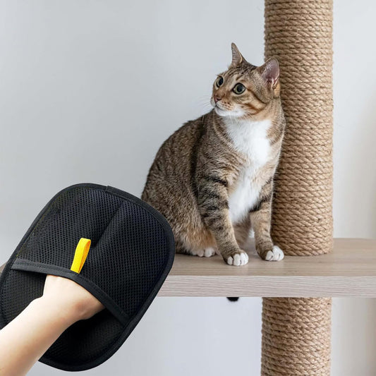 "Pet Hair Removal Gloves – Electrostatic Two-Way Brush for Cats & Dogs, Reusable Grooming & DE shedding Tool"